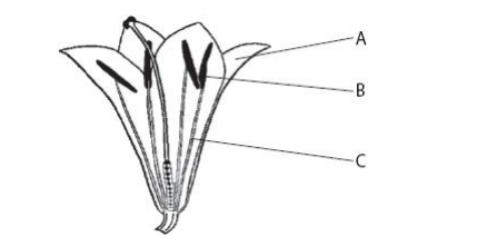 博耐顿女校Benenden School year12生物学入学考试笔试题库