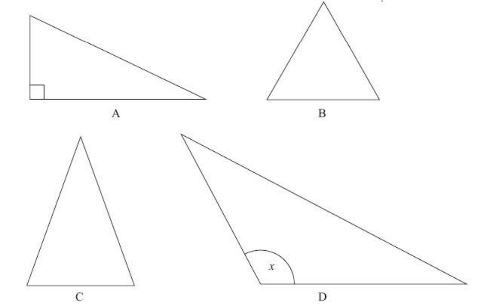 帕克林顿学校Pocklington School 11+数学入学考试