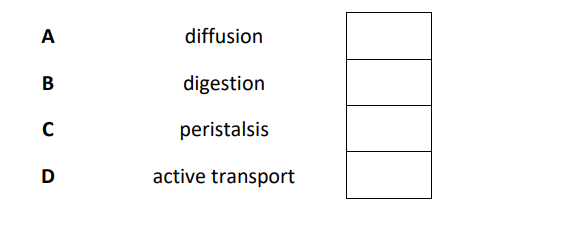 奥多中学Oundle School Year9科学入学考试笔试题