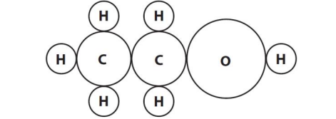 奥多中学Oundle School Year9科学入学考试笔试题