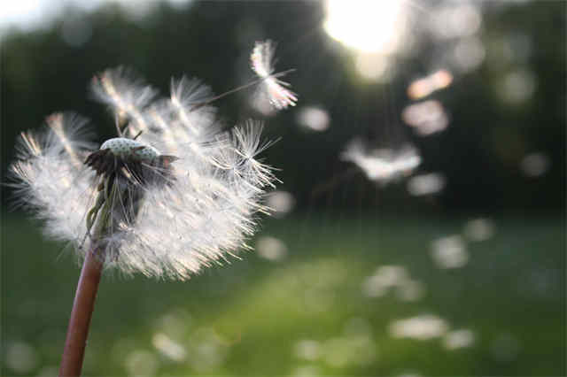 英国私立高中一年花费